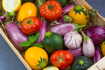 Fresh organic vegetables - round courgette, small eggplants, tomatoes, diet concept, Italian and French food, healthy food.