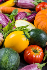 Fresh organic vegetables - round courgette, small eggplants, tomatoes, diet concept, Italian and French food, healthy food.