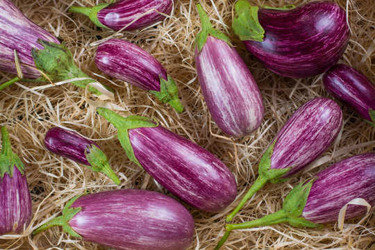 Fresh organic vegetables background, wallpaper - eggplants, diet concept, Italian and French food, healthy food.