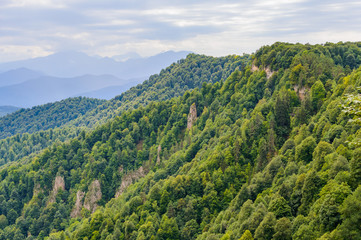Fototapeta na wymiar Mountain forest landscape at the foot of the Caucasus Mountains, Adygea, Russia