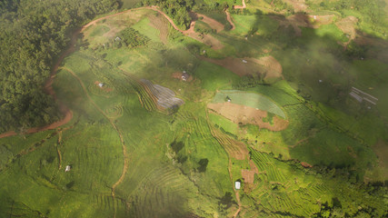 Top view of the rice paddy fields in northern Thailand