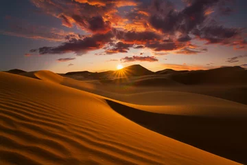 Fototapete Dürre Wunderschöne Sanddünen in der Sahara