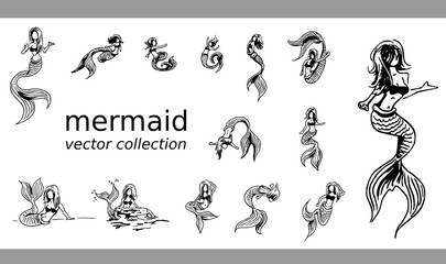 Zeemeermin vector collectie