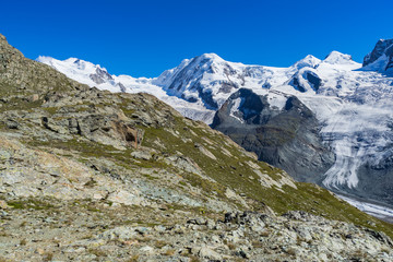 Fototapeta na wymiar Monte Rosa and Lyskamm, Castore and Pollux near Gornergrat glacier, Swiss Alps, Switzerland