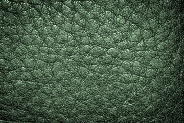 Leather texture background for industry export. fashion business. furniture design and interior...