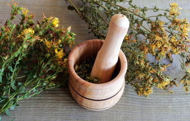 mortar with herb St. John's wort