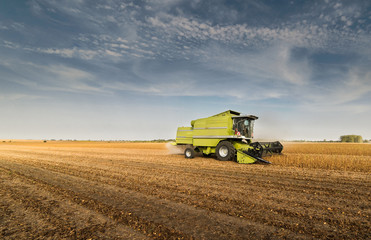 Obraz premium Harvesting of soybean field