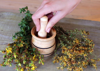 girl grinds the dried herb St. John's wort in a wooden mortar