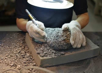 化石の発掘作業をする研究員