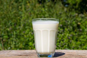 Glass of milk on wooden table with nature background