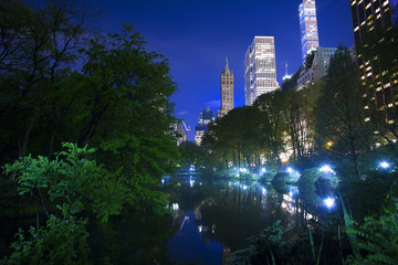 Central Park at night - obrazy, fototapety, plakaty