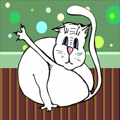 Удивленный кот которого застали за вымыванием своего хозяйства