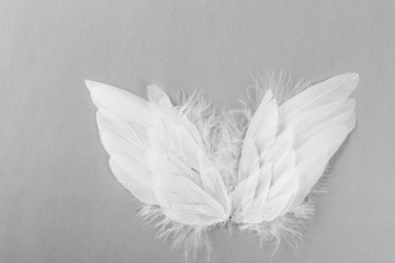 vita änglavingar på grå bakgrund med utrymme för egen text