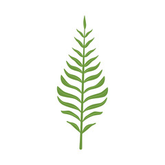 Pinnatisect green leaf vector Illustration