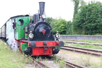 Fototapeta na wymiar Restored historic steam engine with train driver