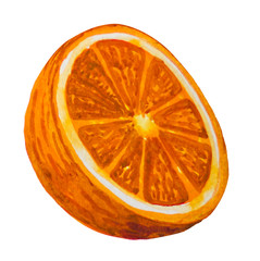 Half range fruit painted with watercolor.