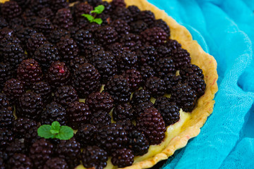 Delicious tart with blackberries on white background