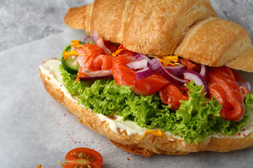 Sandwich with salad and salmon closeup