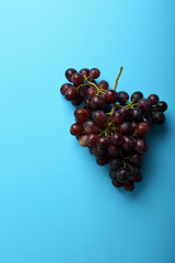 Branch grapes on blue