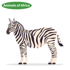 Fototapeta na wymiar Zebra, zebra icon, African animals