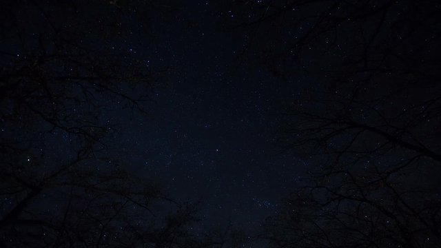 Night Stars Time Lapse Sky Turning Space, forest trees foreground Astrophotography 