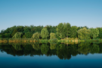 Forest lake reflection. Amazing lake with forest reflection under blue sky.