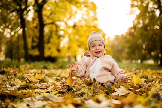 Smiling baby boy playing with maple leaves