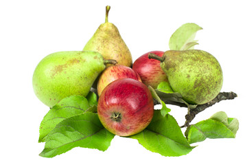 Apples and pears piled in a heap, with green leaves on white background