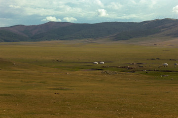 Obraz premium Typical mongolian landscape and steppe