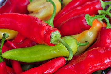 Assorted bell peppers in various colors, organic food, autumn season 