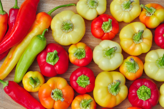 Assorted bell peppers in various colors, organic food, autumn season 