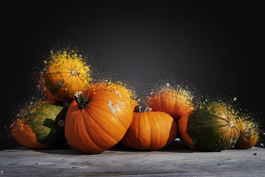 Assorted pumpkins and squashes shattered