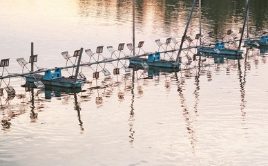 shrimp farm with paddle wheel aerator