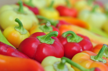 Fresh, organic, colorful peppers 