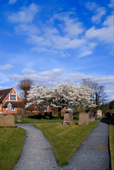 Obraz premium Old graves cemetery Village Cotswolds England Cotswolds