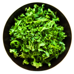 Fresh green kale salad leaves in a bowl isolated on white  with copy space for text background.