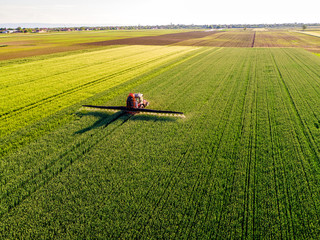 Farmer spraying green wheat field - obrazy, fototapety, plakaty