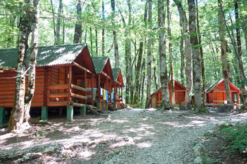 wild cabins - 170419258