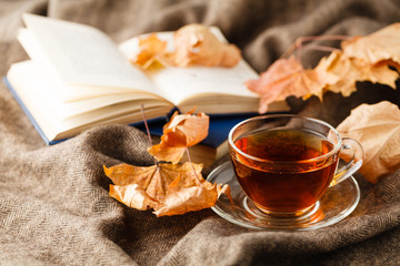 Tea cup on the fall with fallen leaves next to it