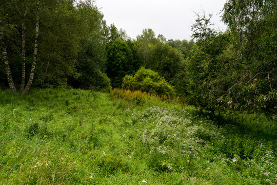 Bieszczady 035