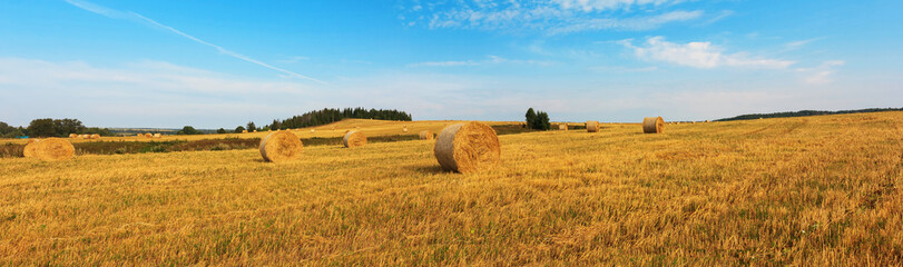 Panoramic view with straw bales in field