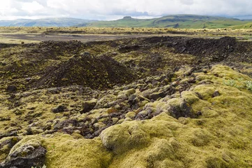 Lava field covered with green moss,Iceland. © pulpitis17