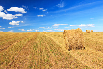 Hay and straw bales in field