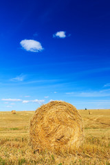 Hay and straw bales in field