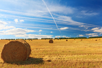 Hay and straw bales in field