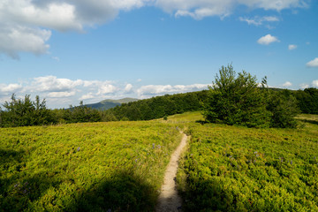 Bieszczady 006