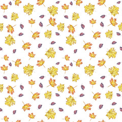 watercolor pattern seamless background autumn leaves maple leaves yellow on white background