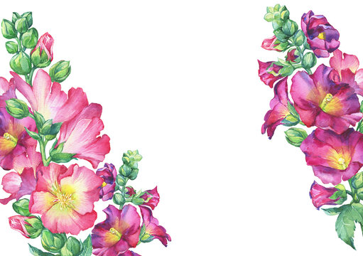 Banner of Mallow pink flower (Alcea rosea, malva, hollyhock, Althaea rugosa). Watercolor hand drawn painting floral illustration isolated on white background.