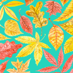 Watercolor pattern made of various colorful autumn leaves.