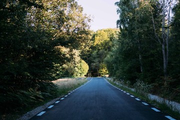 Obraz premium Lonely beautiful empty road with forest growing around and warm evening sunlight falling on trees, concept nomad, adventures, explore
